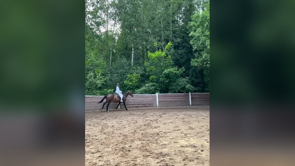 Всадник на лошади занимается на открытом плацу конного клуба