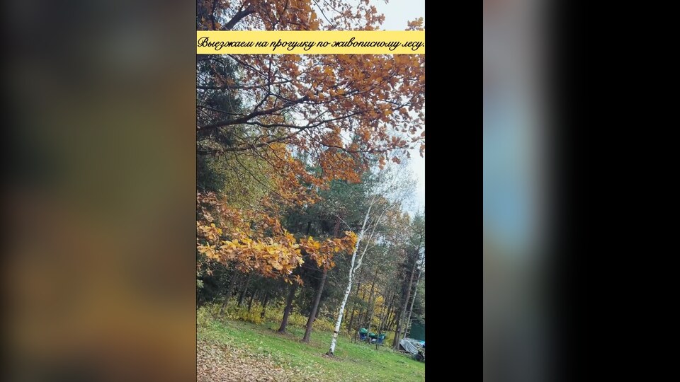 Осенний лесной маршрут во время прогулки верхом